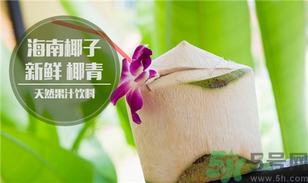 喝椰青的好处和坏处,常喝椰青有什么好处 喝椰青的好处和坏处,常喝椰青有什么好处