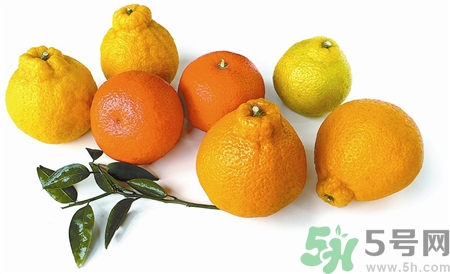 丑八怪橘子怎么保存,不知火丑橘能放多久 丑八怪橘子怎么保存,不知火丑橘能放多久