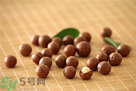 榛子性温还是凉性,榛子是寒性还是热性