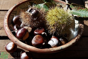 吃生板栗的好处有哪些,板栗生吃有什么好处板栗的作用 吃生板栗的好处有哪些,板栗生吃有什么好处板栗的作用