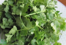 香菜怎么长时间保存新鲜不烂,香菜怎样保存时间长不腐烂