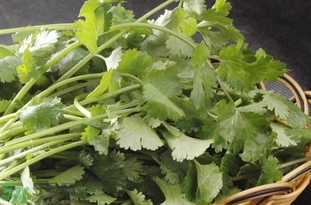 吃香菜起什么作用,香菜有什么好处