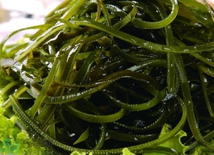 海带的功效和作用以及营养价值,海带的营养和功效