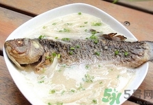 做出来的鱼汤有苦味怎么办,鱼汤有点苦是怎么回事
