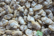 花蛤怎么洗才能把沙子全吐出来,花蛤怎样清洗