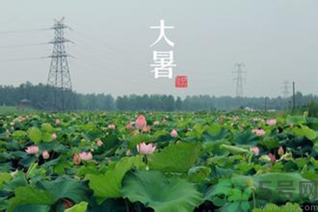 大暑吃什么养生窍门,大暑吃什么养生粥