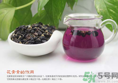 黑枸杞泡水是什么颜色的图片,黑枸杞泡水是什么颜色的