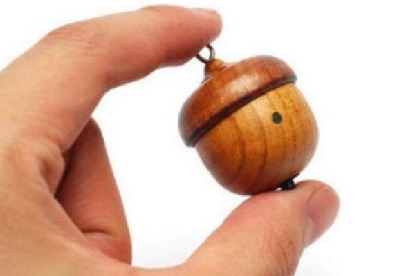 橡果是什么东西,橡果子是什么