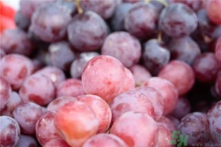 葡萄变软了还能吃吗,葡萄变软是什么原因