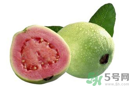 番石榴能减肥吗,红心番石榴可以减肥吗