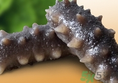 活海参怎么处理保存,新鲜海参的处理方法和怎么保存