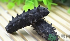 海参是不是动物,海参是什么类动物 海参是不是动物,海参是什么类动物