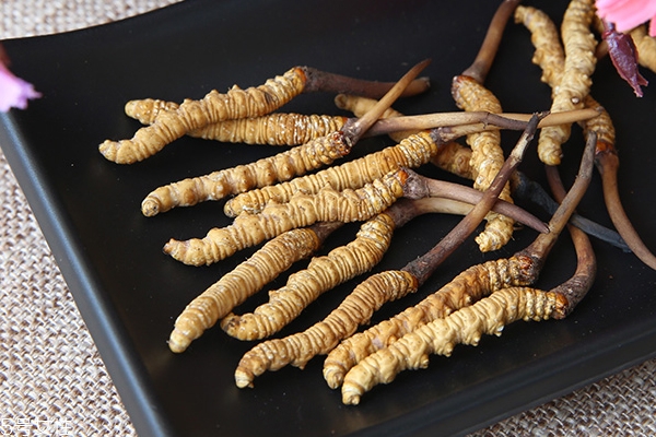 什么是冬虫夏草怎么形成的,冬虫夏草实际上它是草还是虫