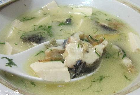 鲫鱼汤不油煎会怎么样(鲫鱼汤不用油煎可以吗)