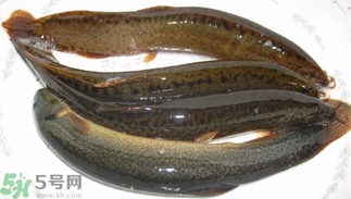 泥鳅死了还能吃吗,死掉的泥鳅可以吃吗