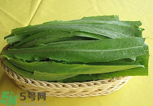 油麦菜不能和什么同吃,油麦菜不能跟什么同食