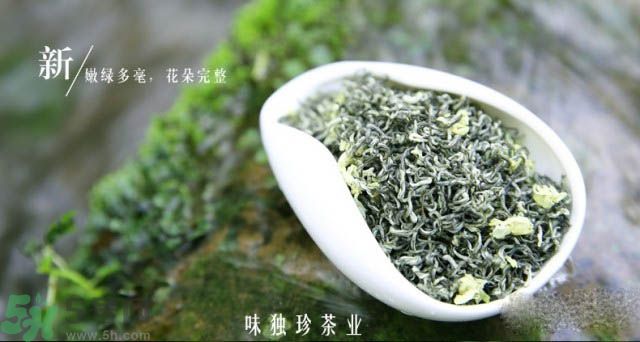 胃不好可以喝茉莉花茶吗?,胃不好可以喝茉莉花茶吗 视频