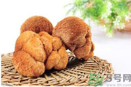 猴头菇是发物吗?,猴头菇是不是发物吗