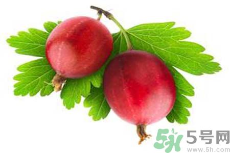 无花果酒有什么功效?,无花果酒有什么功效和作用