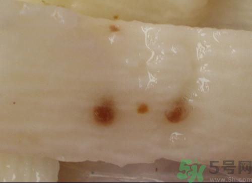 山药上面有黑点可以吃吗,山药上有黑点是怎么回事