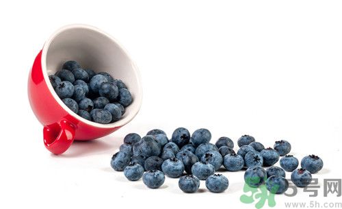 吃蓝莓要不要剥皮,蓝莓要剥皮吗蓝莓怎么吃