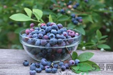 蓝莓是热性还是凉性有什么功效,草莓是热性还是凉性