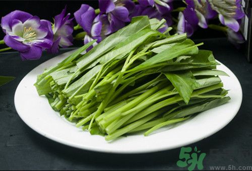 菜心没炒熟可以吃吗,空心菜不熟吃了有毒吗 菜心没炒熟可以吃吗,空心菜不熟吃了有毒吗