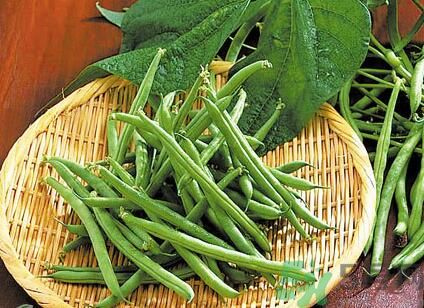 四季豆可以和胡萝卜一起吃吗?,胡萝卜能和四季豆一起煮来吃吗
