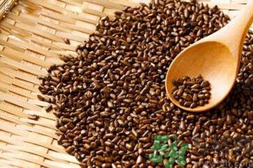 冬季喝决明子有什么好处,决明子生的好还是熟的好