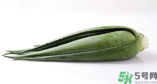 经期可以吃芦荟吗?,来姨妈可以吃芦荟吗