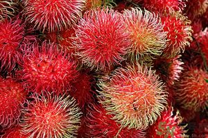 吃红毛丹上火吗,吃红毛丹会上火吗