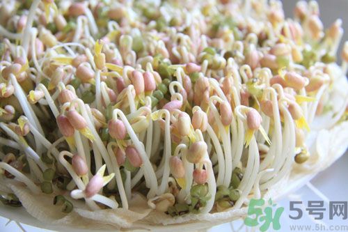 吃毛豆可以减肥吗,减肥能吃毛豆吗