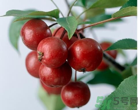 山楂干泡水可以加糖吗,山楂可以生吃吗? 山楂干泡水可以加糖吗,山楂可以生吃吗?