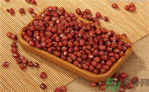 红豆可以发豆芽吗?有什么营养,黄豆如何发豆芽