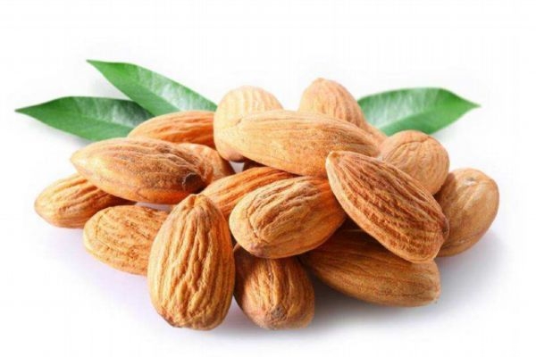 苦杏仁是杏仁吗,苦杏仁是什么样子的