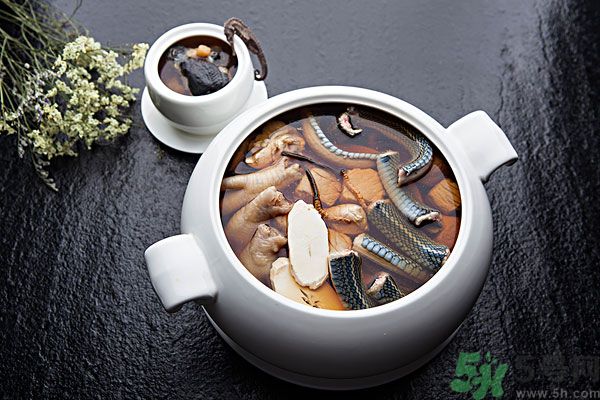 蛇肉是凉性吗,蛇肉是凉性还是热性
