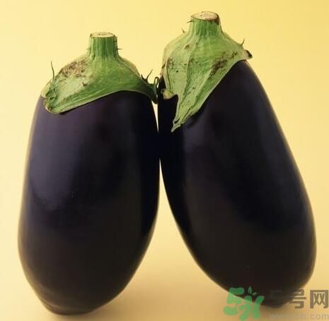 青皮茄子和紫皮茄子的区别,白皮茄子和紫皮茄子有什么区别