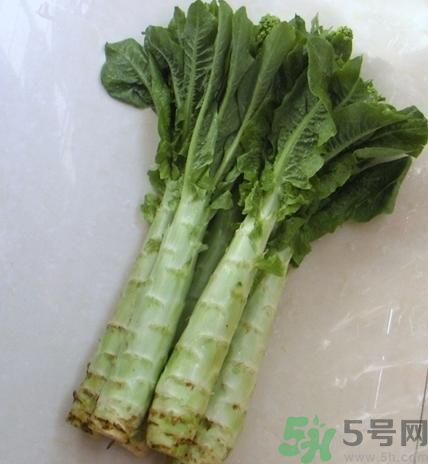 笋子是不是发物?,笋子是不是发物的东西