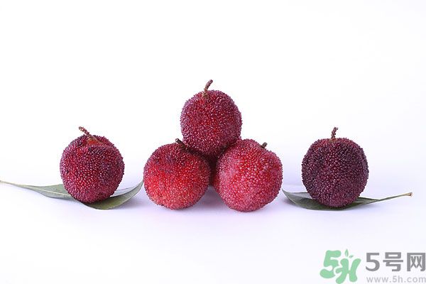 杨梅有虫子怎么清洗,杨梅里有虫子吗