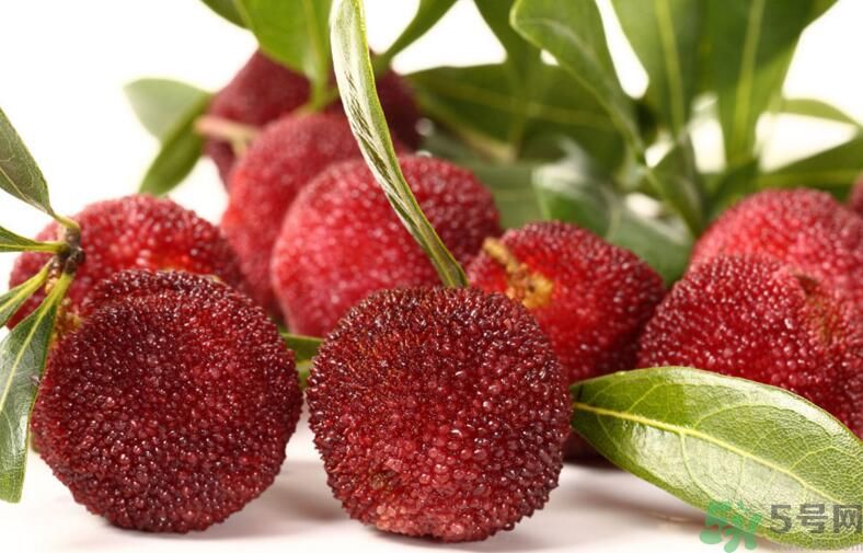 杨梅可以和牛奶一起吃吗?,杨梅能和牛奶一起吃吗