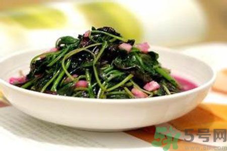 胃不好可以吃苋菜吗?,胃不好能吃马齿苋菜吗 胃不好可以吃苋菜吗?,胃不好能吃马齿苋菜吗