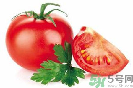 西红柿是番茄吗?,番茄是西红柿还是茄子