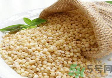 高粱米有什么功效和作用,高粱米有什么功效?咱俩? 高粱米有什么功效和作用,高粱米有什么功效?咱俩?