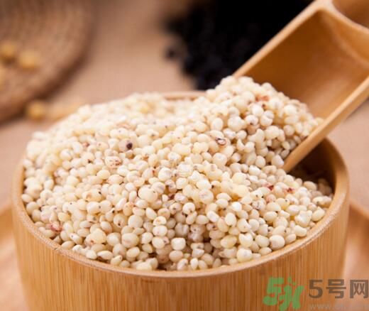 高粱米是发物吗?,高粱米是不是发物