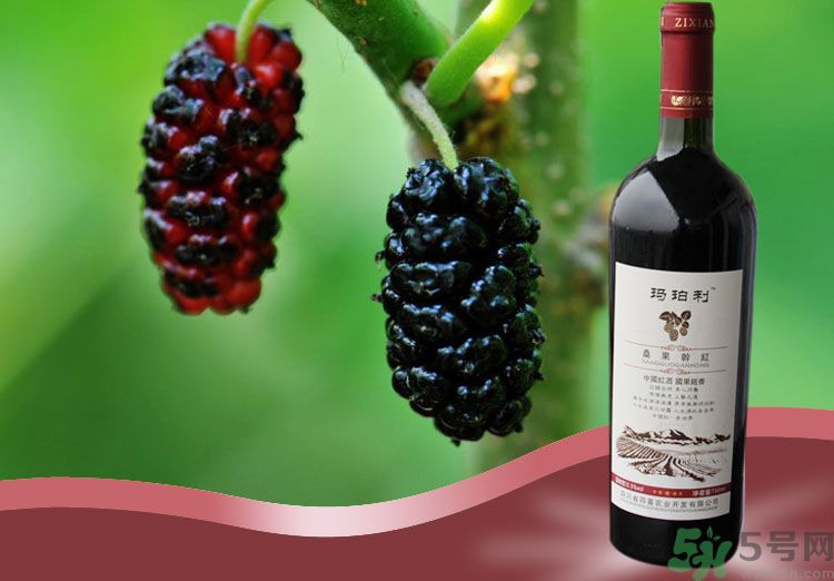 桑葚可以和啤酒一起吃吗,桑葚能泡酒喝吗?