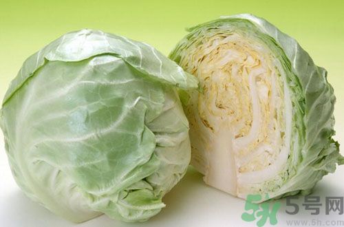 甘蓝是什么蔬菜,什么是甘蓝菜 甘蓝是什么蔬菜,什么是甘蓝菜