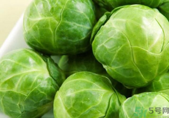 包菜需要放冰箱保存吗,包菜能在冰箱里放多久