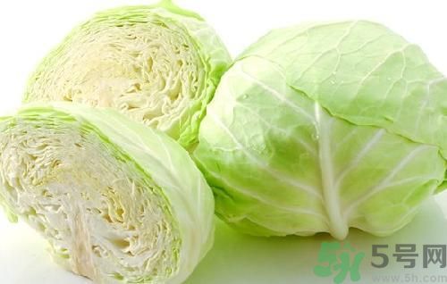 包菜不能和什么一起吃/同吃 食物相克大全,紫色包菜不能和什么一起吃