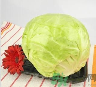 怎样做包菜好吃?,包菜怎么腌制好吃