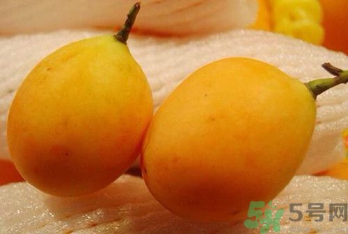 枇杷和芒果可以一起吃吗,枇杷芒是枇杷还是芒果